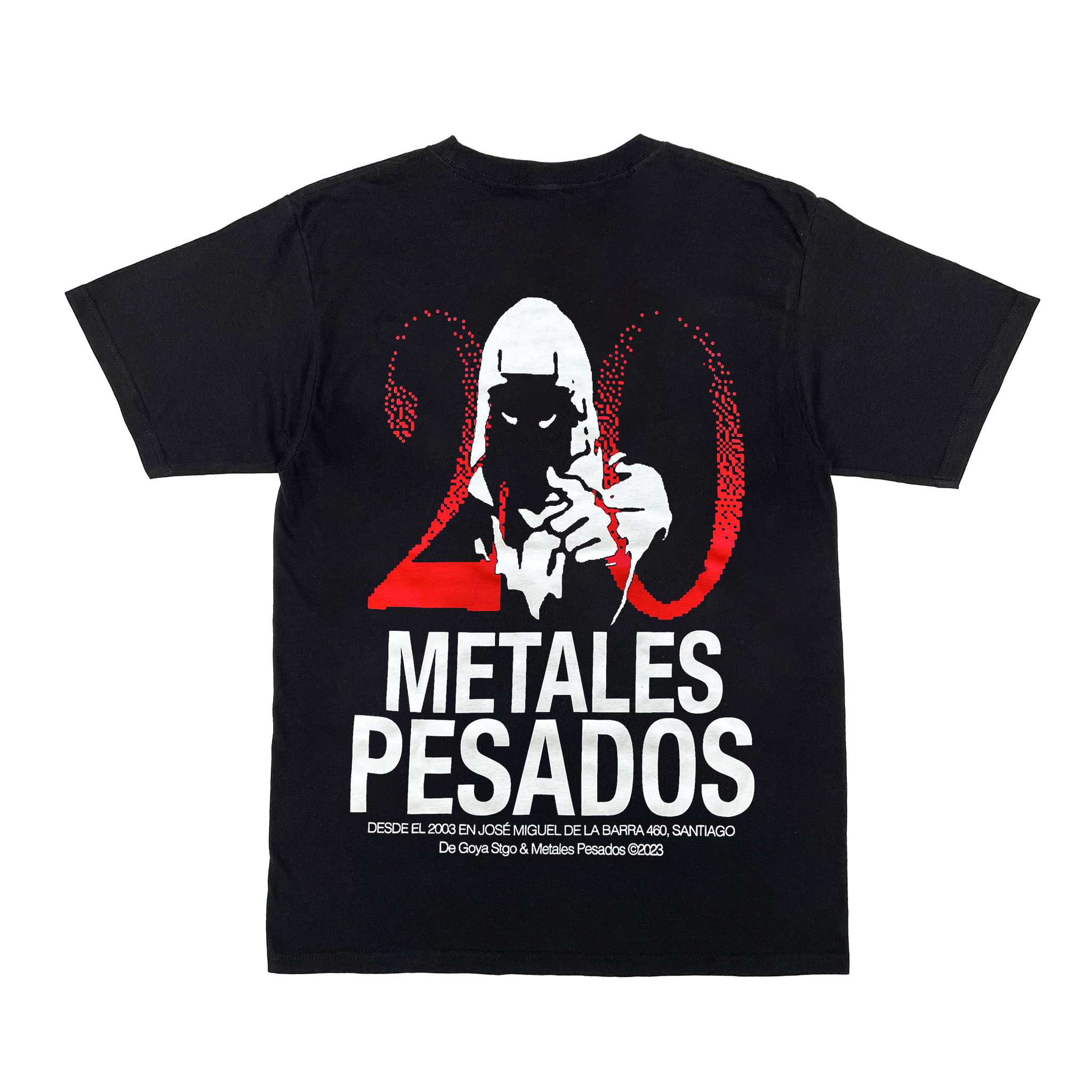 Metales Pesados 20 Años